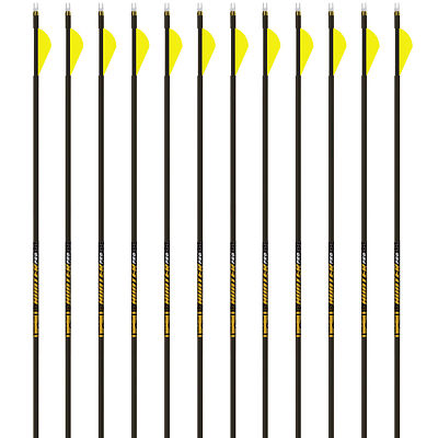 NEW Gold Tip Arrows Hunter PRO 400 1 Dozen 2'' Raptor Vanes 