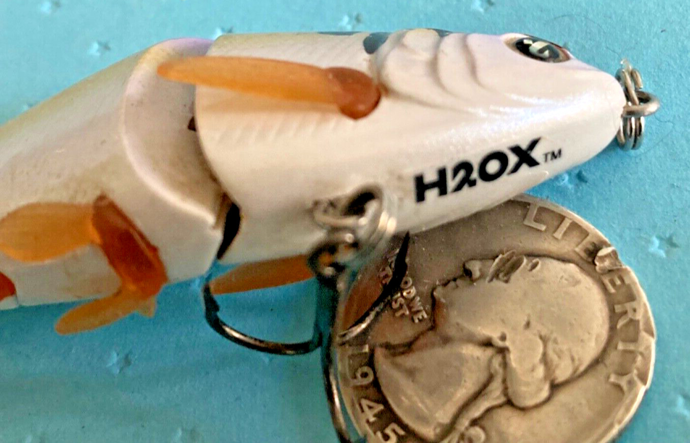 H20 Xpress 3.5” Ultimate Jointed Shad Bait Natural Shad Realistic Lure SWIMBAIT