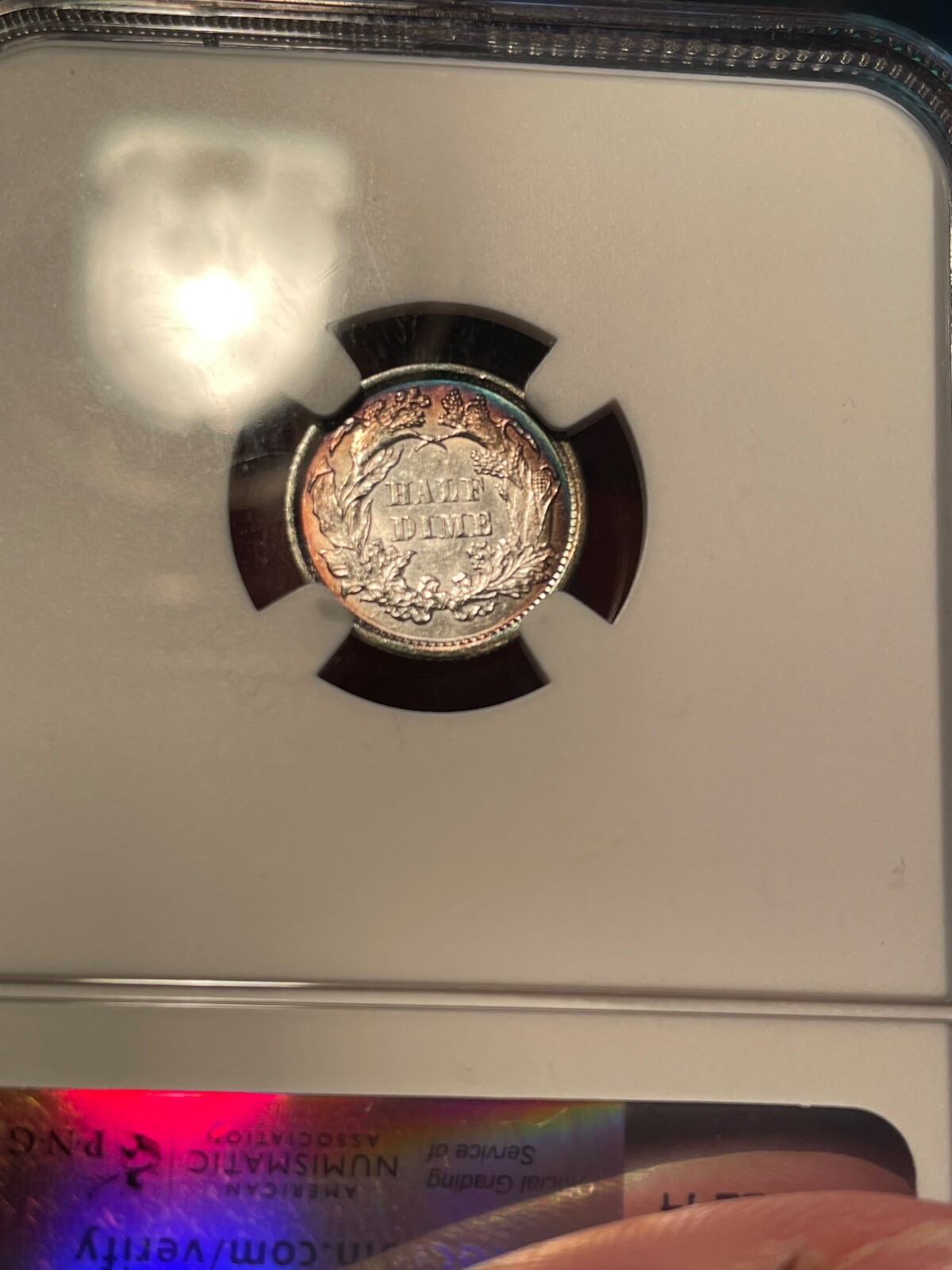 Picture 4 of 5