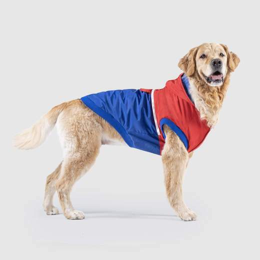 canada pooch winter jackets