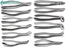 Dental Extracting 12 Forceps Upper Lower Complete Starter Extraction Instruments