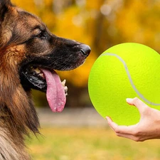 9.5' Big Giant Pet Dog Puppy Tennis Ball Fetch Play Toy Oversized