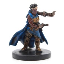 Dungeons and Dragons CAPTAIN OF THE WATCH - 2008 DND Minis Miniature Figure