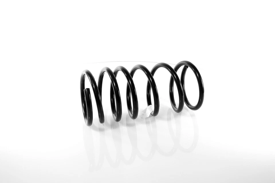 2x Coil Springs Rear Right and Left for Chrysler 300M 1998-2004 — 第 4/4 张图片