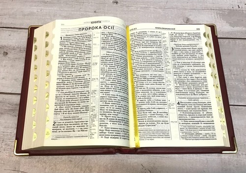 Біблія шкіряна ручна робота cучасний переклад Турконюка Ukrainian Bible 180x250m - Imagen 8 de 10