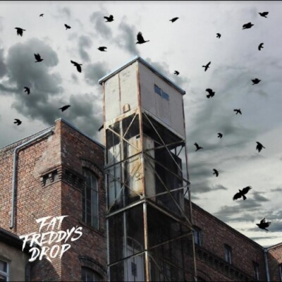 FAT FREDDY'S DROP Blackbird Returns 2x LP NEW VINYL The Drop 