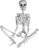 Halloween Skelett 90Cm Plastik GanzköRper Mit Beweglichen Gelenken Dekoration 1