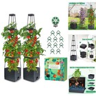 2 Pack Tomato Planter Trellis 57 Self Watering Raised Garden Bed Box Cage Vine