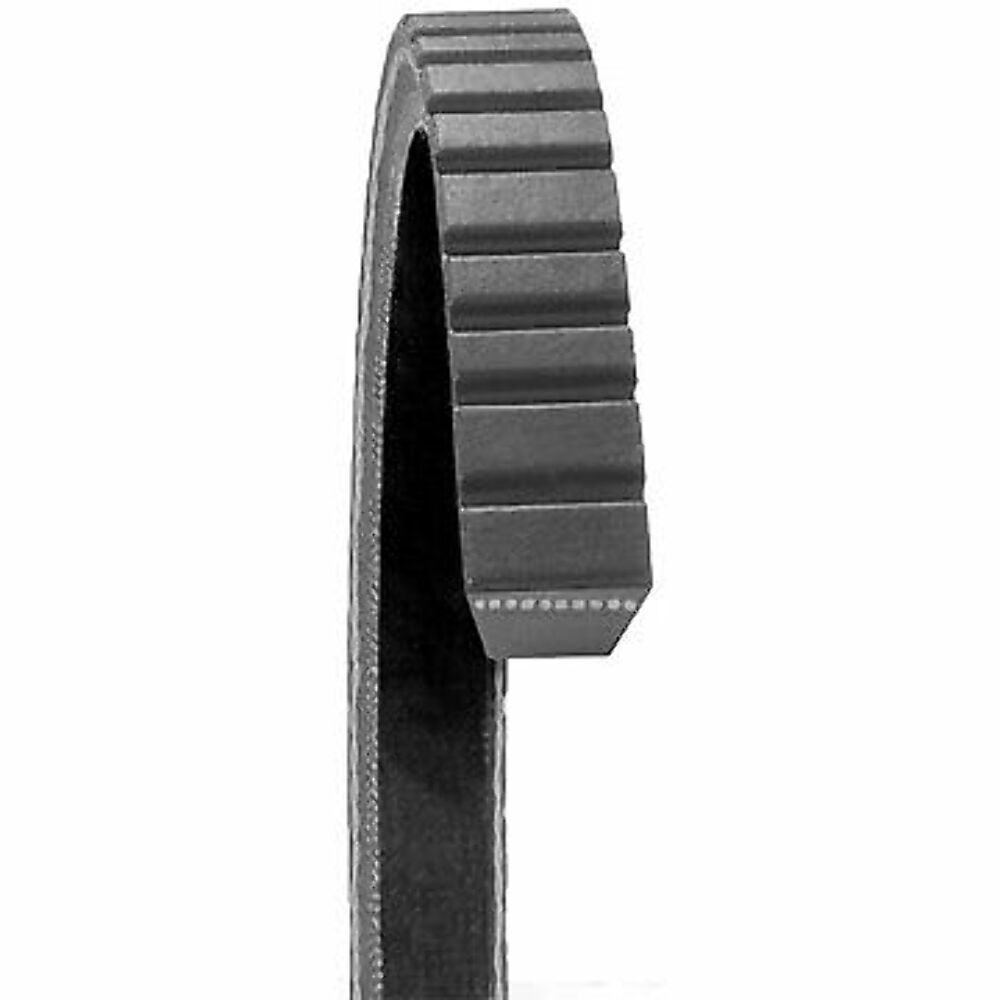 Dayco Accessory Drive Belt 17300 | High-Quality Auto Part