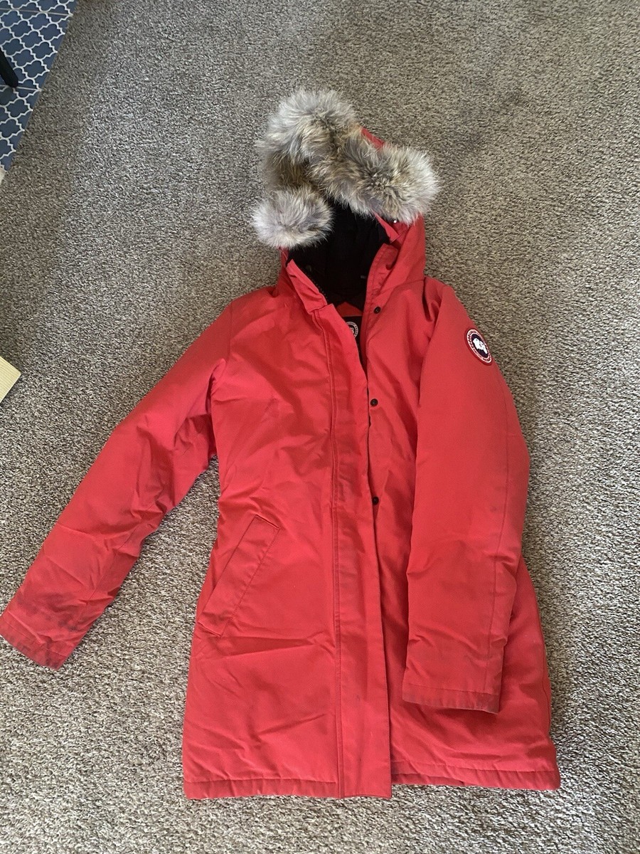 Pink Canada Goose 90 Off Argentina Goose Art Print Canada Goose Pop Art  Endless Summer Style