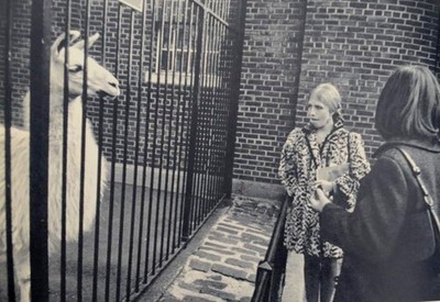 Garry WINOGRAND / THE ANIMALS 1st Edition 1969 #195346 | eBay