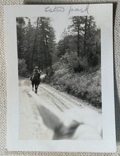Vintage Photo Man Riding Horse Estes Park Colorado Dog Black & White 3.5" x 2.5"