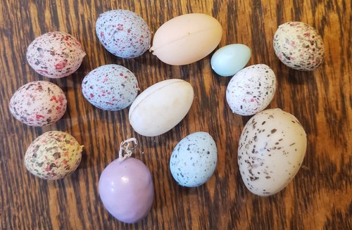 BIRDS, EGGS, BIRD HOUSE, CRAFT ITEMS PAMPLET BIRDS AND MORE - Picture 2 of 15