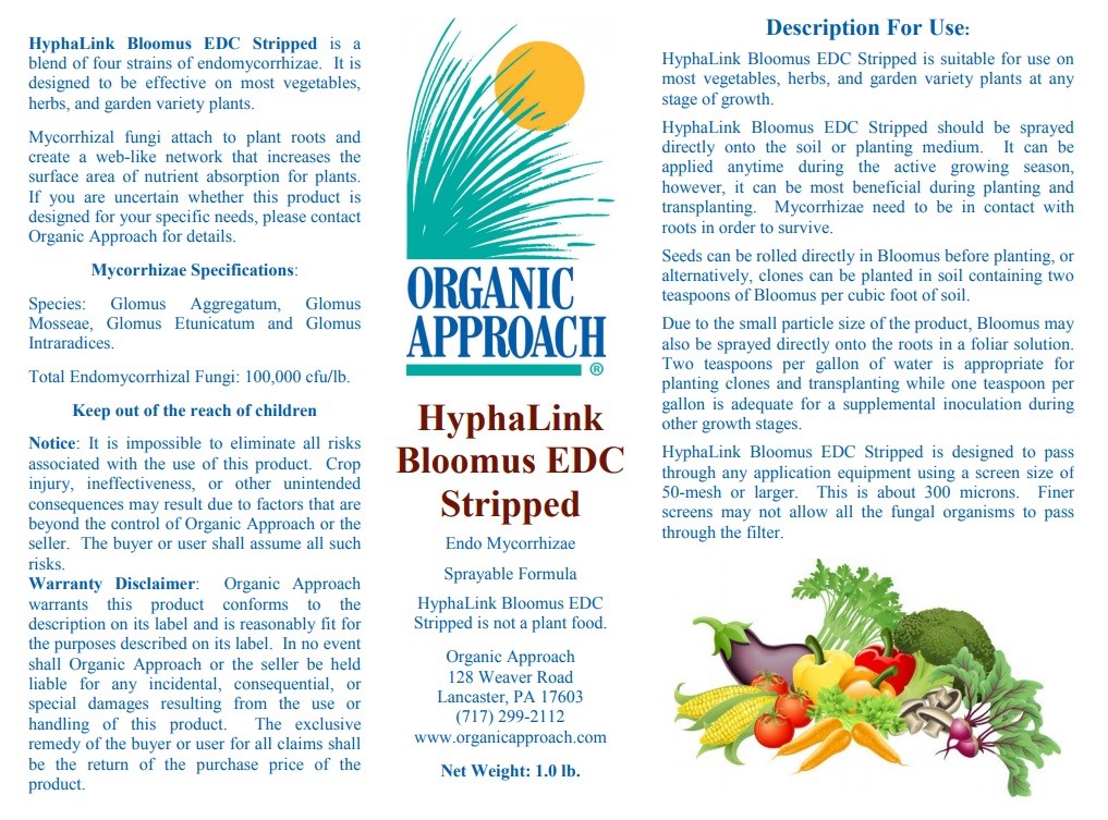 Bloomus Endo Mychorrhizae Inoculant, Explosive Root Growth, Protection ...