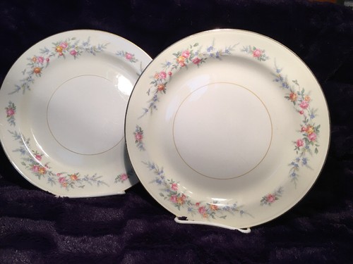 (2) Vintage Eierschale Nautilus Ferndale Homer Laughlin 9,5" Teller N1577 - Bild 6 von 6