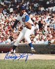 DENNIS LAMP Chicago Cubs (1977-80) signed color photo COA 1983 White Sox — photo 1