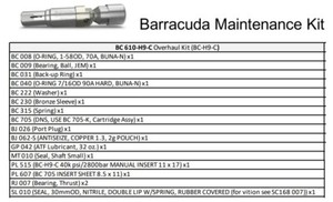 Stoneage overhaul cartridge kit for Barracuda 40k psi/2800 Bar (BC 610-H9-C)