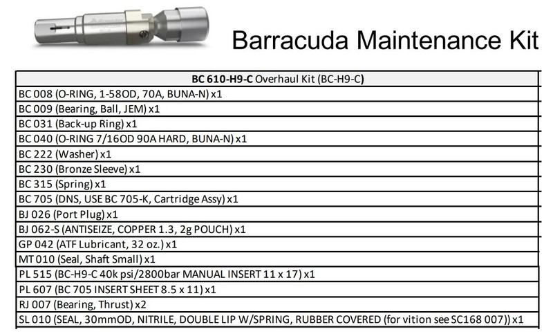 Stoneage overhaul cartridge kit for Barracuda 40k psi/2800 Bar (BC 610-H9-C)