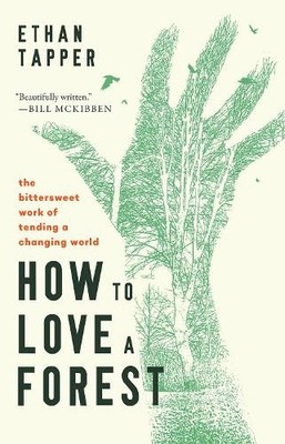Ethan Tapper How to Love a Forest (Hardback)