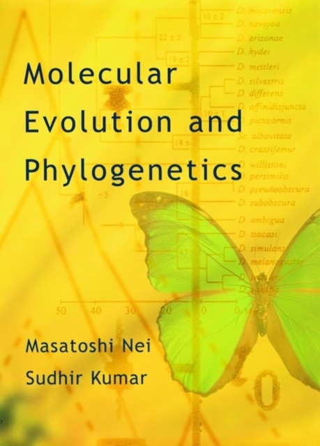 Molecular Evolution and Phylogenetics by Masatoshi  Nei PAPERBACK 9780195135855