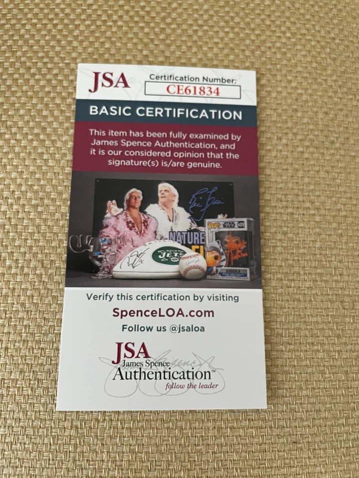 DON MAYNARD (HOF) NEW YORK JETS AUTOGRAPHED MINI HELMET & JSA  Authenticated - Image 3 of 4