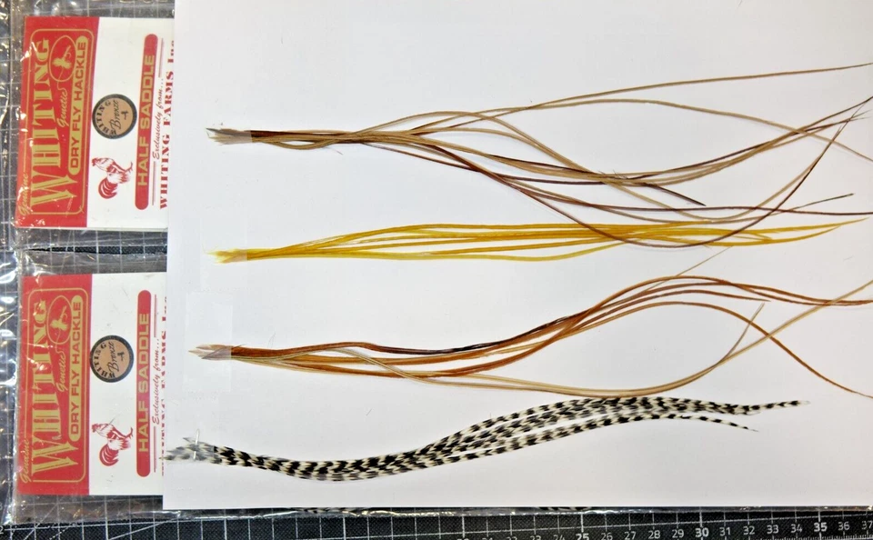 Whiting 20 Saddle Federn grizzly | medium ginger | copper olive | brown DRY FLY