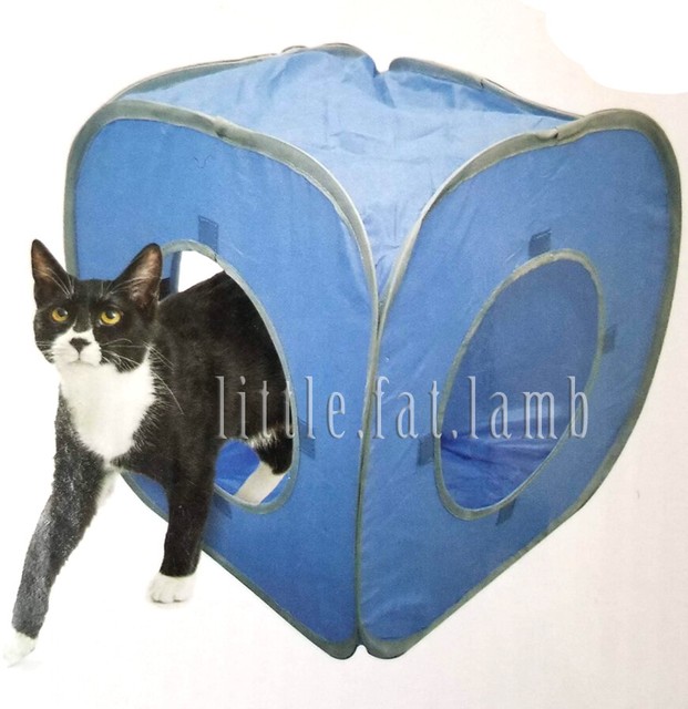 pop up cat play tent