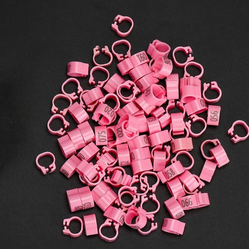 100PCS Bird Rings Leg Bands For Pigeon Parrot Clip Rings Number 1-100 US - Picture 6 of 17