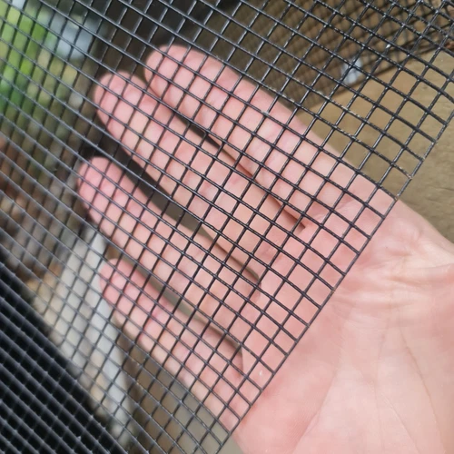 Vermin Birds Snake Mesh Black Gal Wire Mesh 990h 1220h 6x6x 1mm 5-25mRoll Mouse - Picture 9 of 26