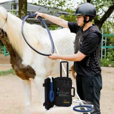 Pro Equine PMST LOOP Magneto Therapy Device   PEMF Horse Muscle Recovery