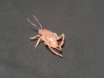 True Cricket Insect .75'' Educational Toy Figure