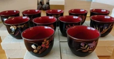 Echizen Urushi Lacquer Sake Cup Set Red w/ 11 Flower Designs Japan New in Box