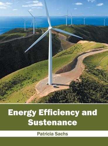 Energy Efficiency and Sustenance (Hardback)