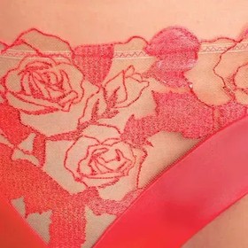Dita Von Teese Rosabelle Sheer G-String Panty Flame Size L