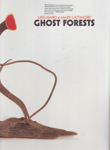 meg baird & mary lattimore ghost forests lp sealed - 第 1/2 張圖片