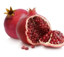 Pomegranate Tree-Shirin Pust Ghermez Saveh COLD HARDY Two Trees