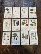 VTG 1930s Coca Cola Collector Cards The World Of Nature Series 3 Complete Coke