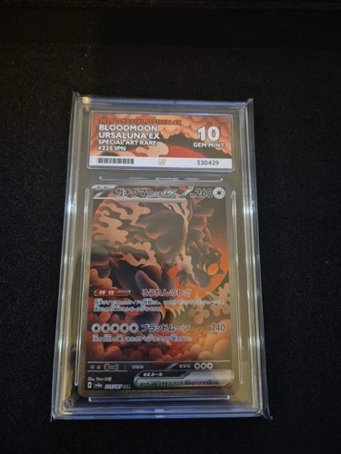 Bloodmoon Ursaluna EX SAR 225/187 SV8a Terastal Festival ACE 10 Gemt Mint