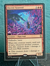 x1 Electric Seaweed R MTG Commander: Teenage Mutant Ninja Turtles M/NM, English