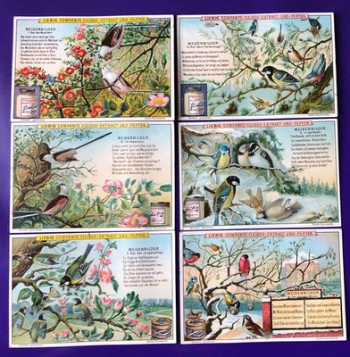 6 Sammelbilder Liebig 1899 komplette Serie 437 (598) MEISENBILDER, #3,6 Mängel - Bild 1 von 2