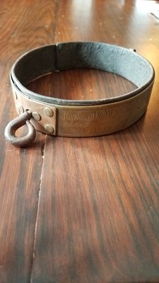 leather and brass dog collars