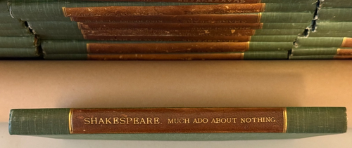 RARE Works of Shakespeare 1881 Édition de Luxe 15 Vol Set No. 146 of 1000 _Hcl - Picture 16 of 22