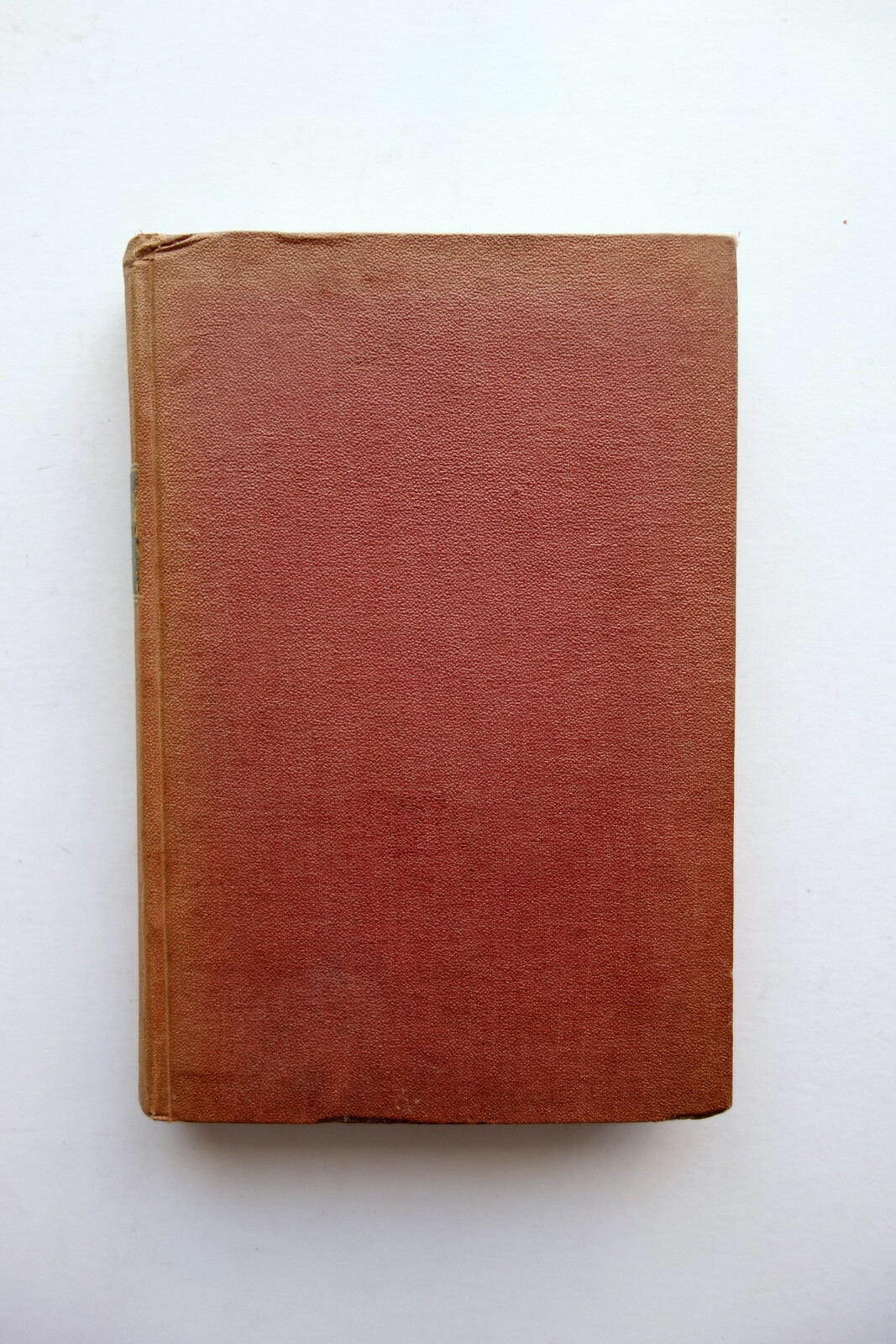 Foto 2 di 7