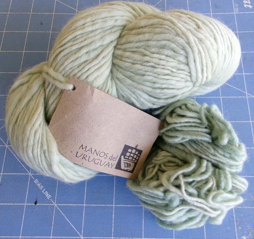 Hand Spun 100% Wool Yarn Light Green Manos del Uruguay Kettle Dyed 3.5 oz Celery - Picture 1 of 7