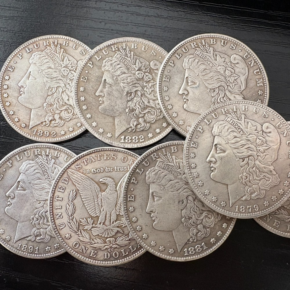 Lot of 5 1878-1893 Morgan silver dollar-Random shipment