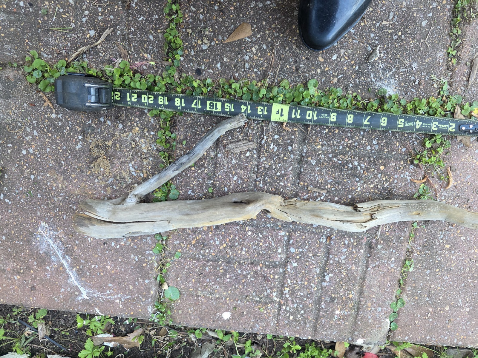 aquarium driftwood extra large