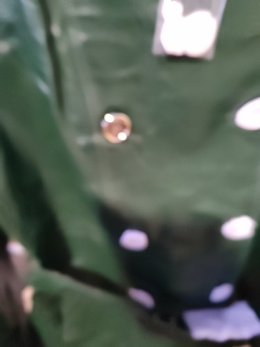 DAMEN LEDERJACKE IMAN GRÜN LARGE ANZEIGE LESEN - Bild 4 von 22