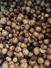1Kg Prepared TigerNuts, Particle Mix, Spod Mix, BaitBoat Mix, Carp Fishing Bait 8.64 per kilo