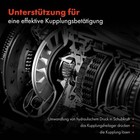 Bild 4 von 8