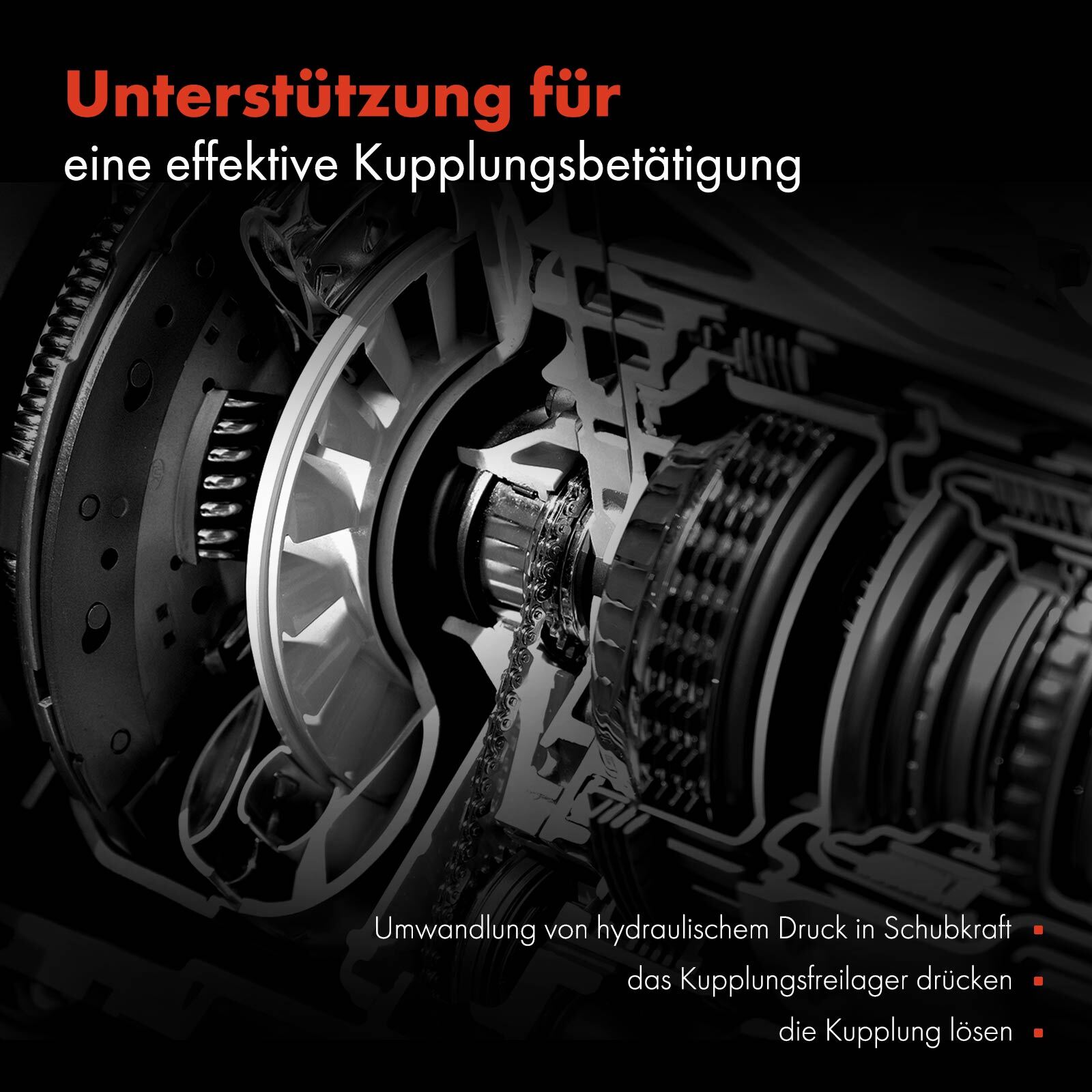 Bild 4 von 8